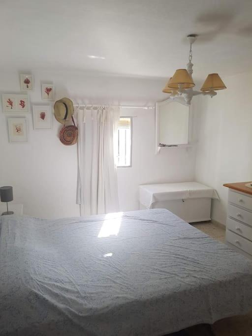 イスラ・デル・モラル Casa En Punta Del Moralヴィラ エクステリア 写真